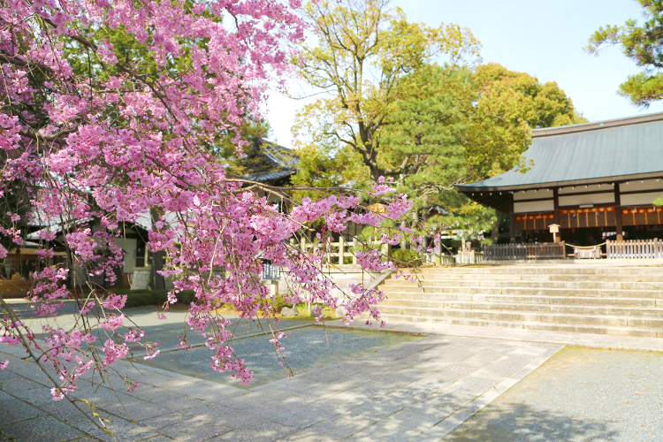 宗忠神社の春