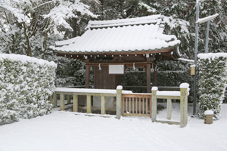 宗忠神社の冬
